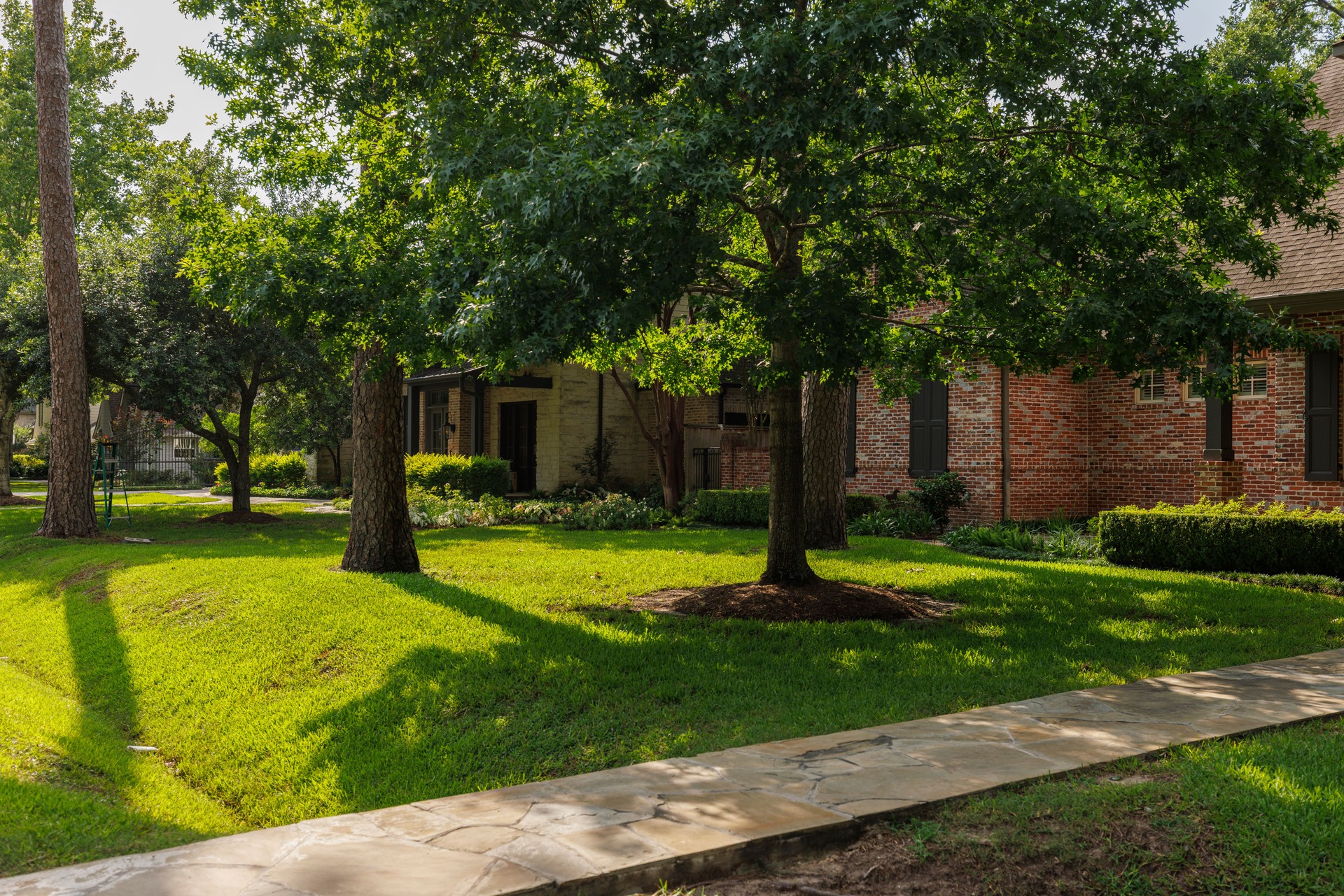 Tree-lined street with luxury homes. Affluent Houston suburb boasts well-maintained brick houses in Texas